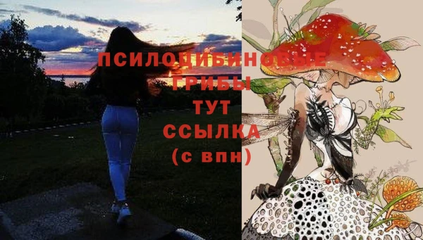 амфетамин Медногорск